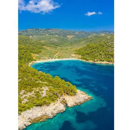 Tassoula * Ισώματα